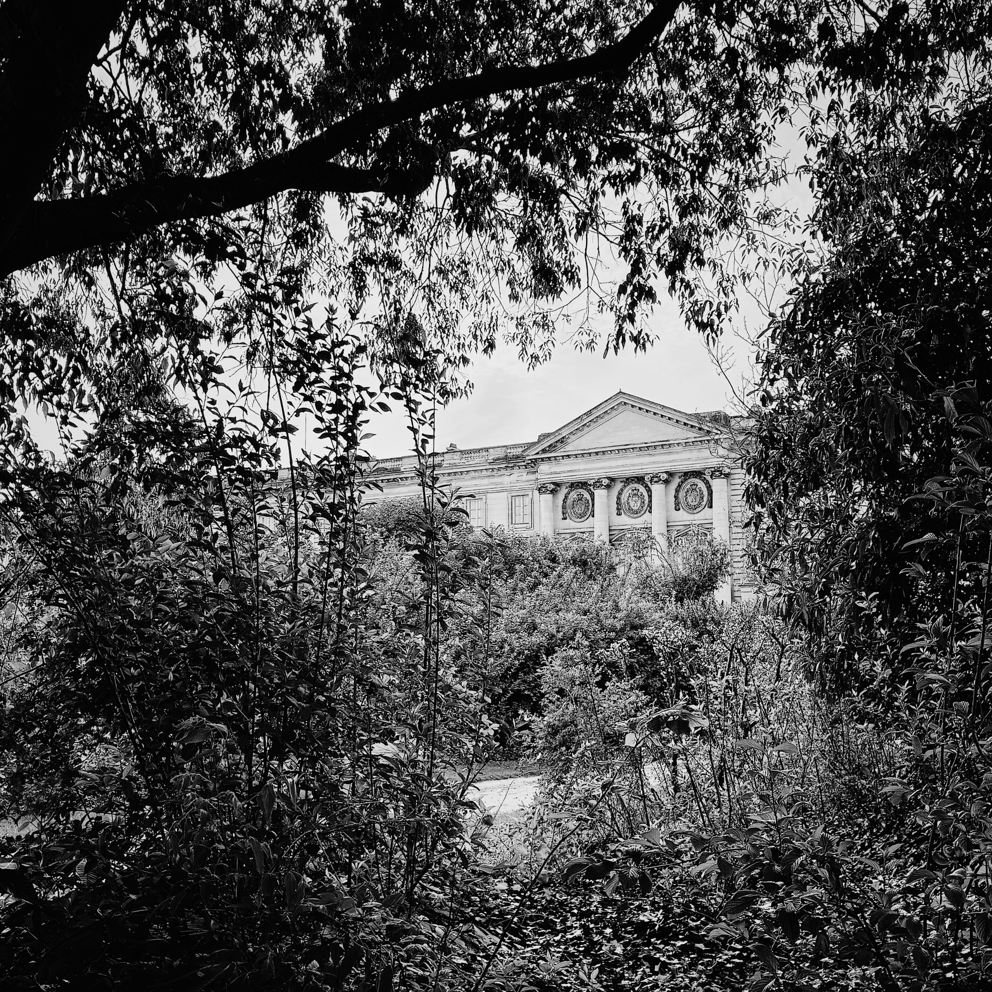 Studio THAMY - A propos - Compiegne Chantilly Senlis Gouvieux Paris